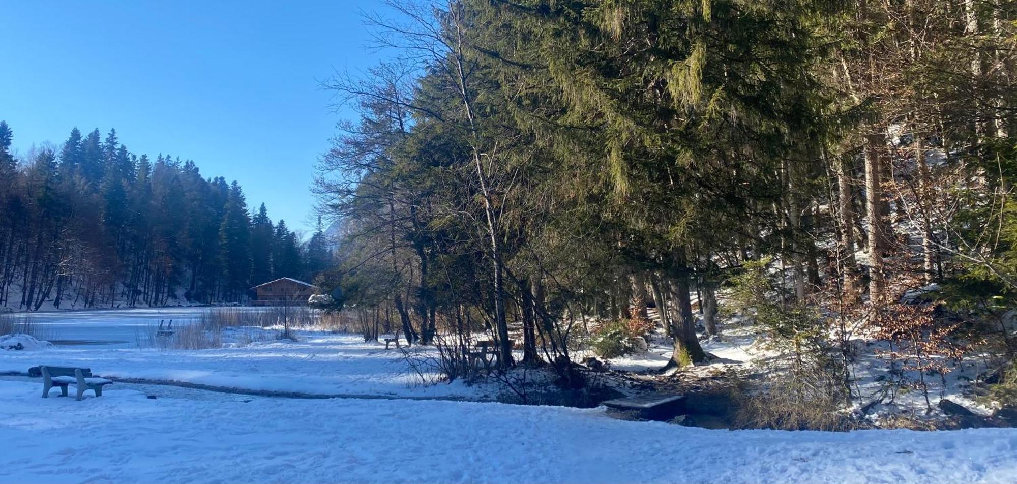 Haus Hislop Leilighet Inneralpbach Eksteriør bilde